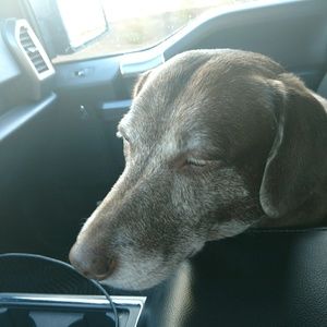 Meet your Posher, Debbie